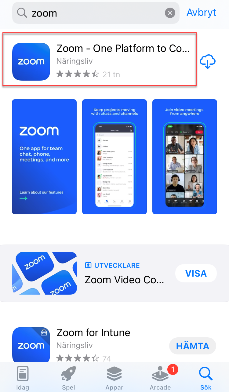 zoom-appen i App store.