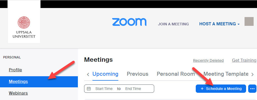 Zoom-fönstret under menyn "Meetings".