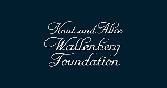 Logotyp Knut och Alice Wallenbergs stiftelse