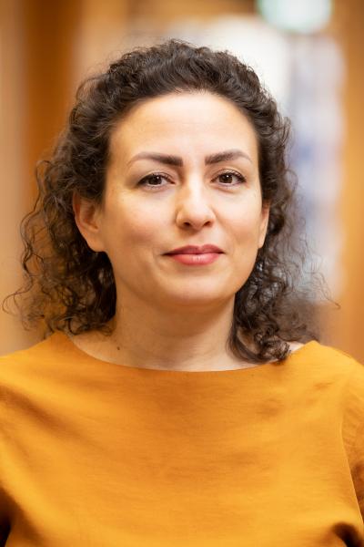 Sepideh Razavi