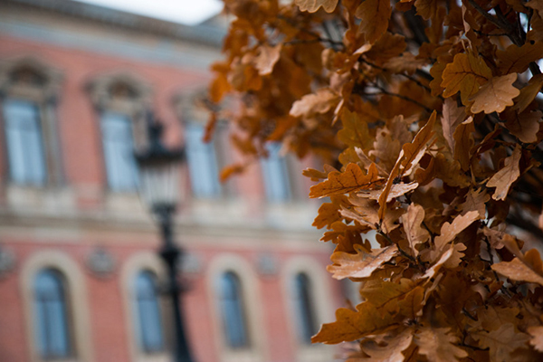 Autumn image with grand building behind red foliage.